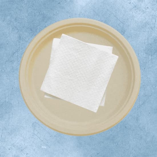 Disposable Plates & Napkins Set