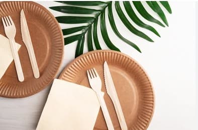 Pack Plate, Napkin and Cutlery Bio Pack