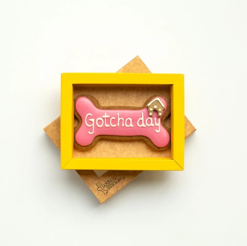 Pink Happy Gotcha Day Dog Bone (12CM)