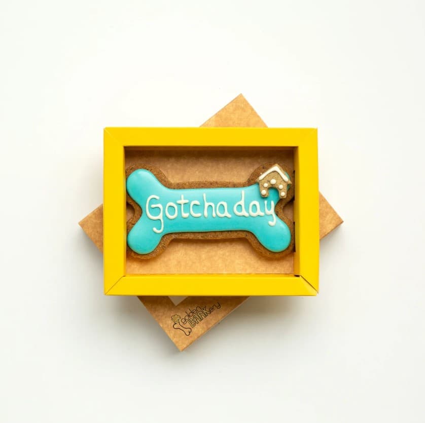 Blue Happy Gotcha Day Dog Bone (12CM)