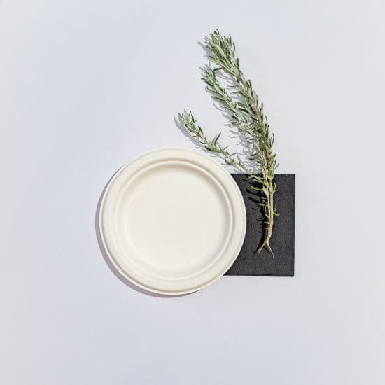 Bio Pac Plate & Napkin