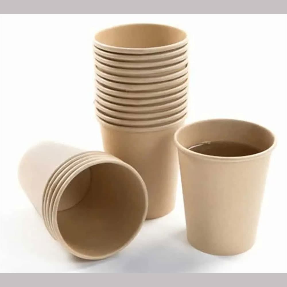 Biodegradable Hot Cups (25 Pieces)