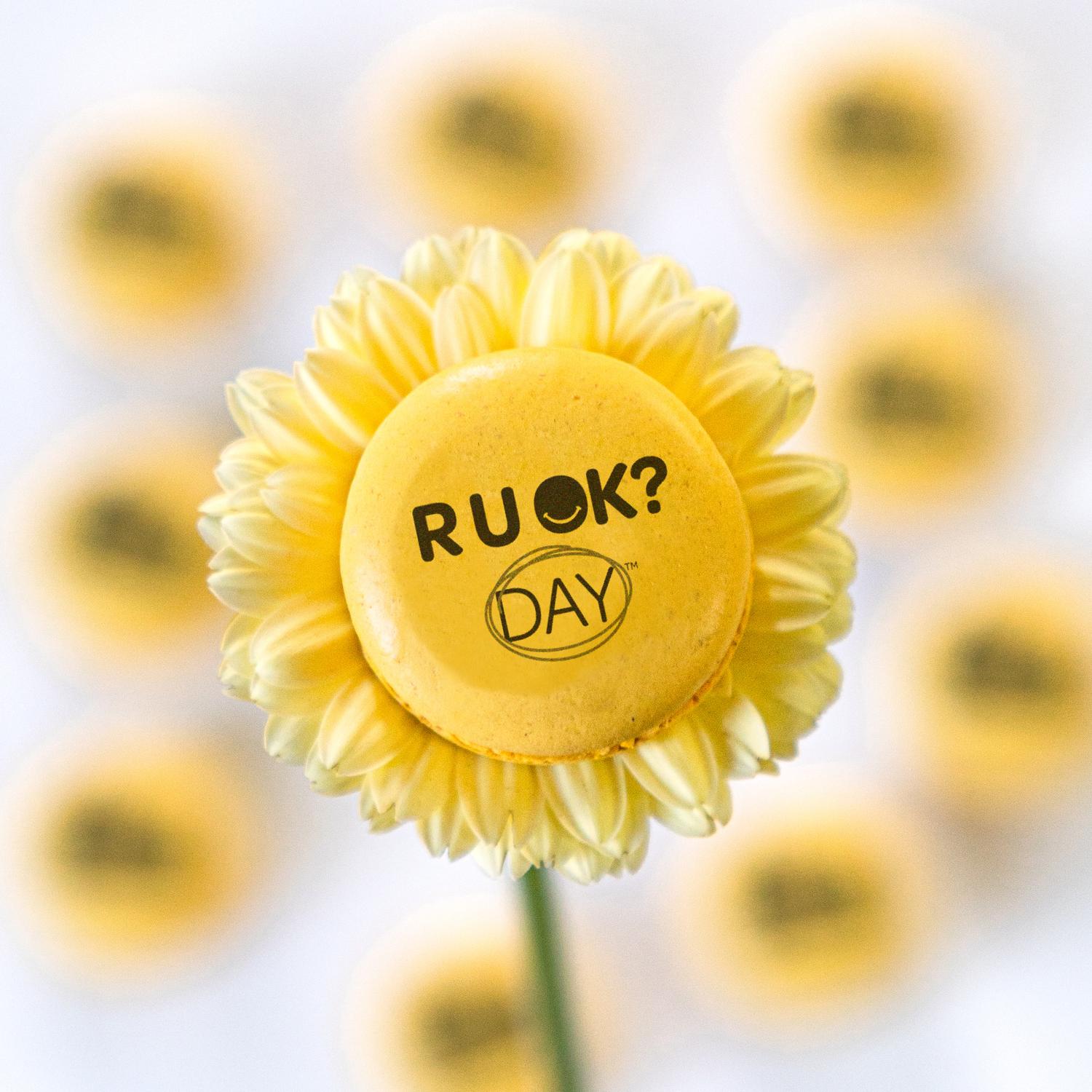 Are You Okay? Day Macarons - Passionfruit & Mango