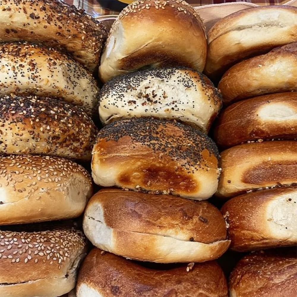 Plain Spreads Bagel Box