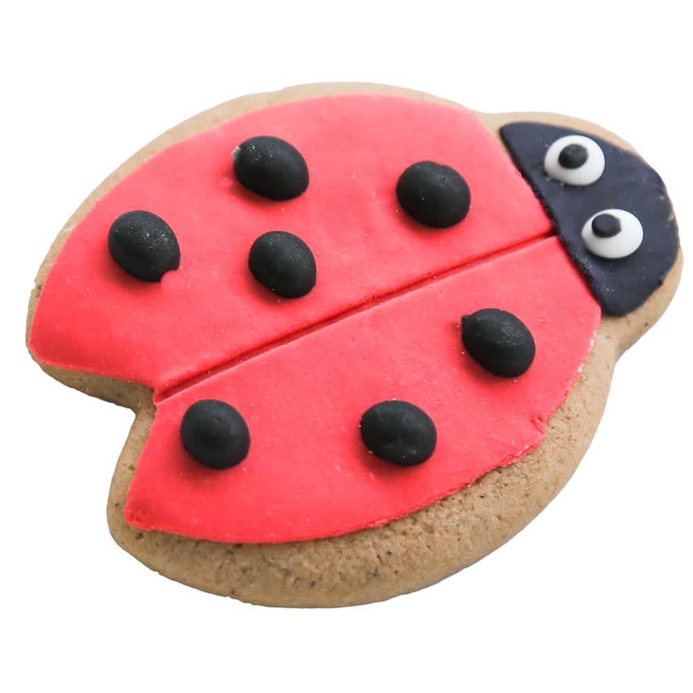 Lady Bugs Cookies Box (24 Pieces)