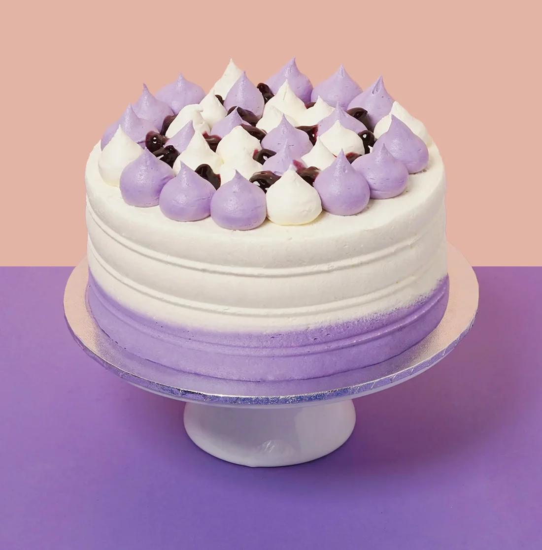 Vegan Blueberry Cake