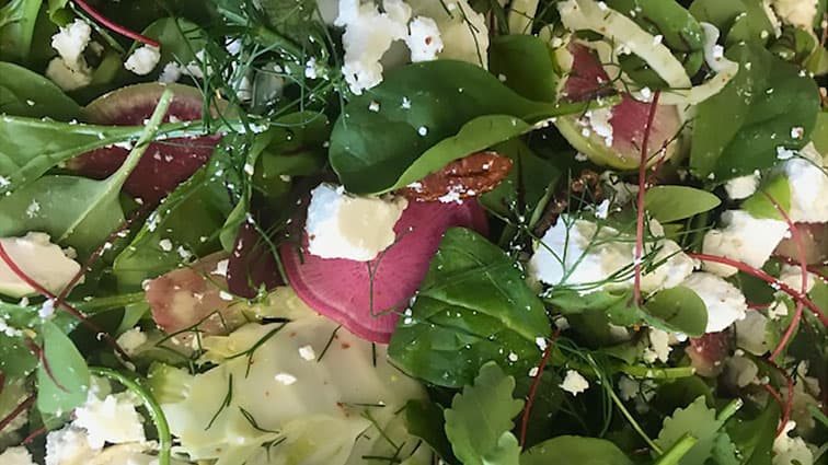 Fennel & Radish Salad (750ML Individual Bowl)