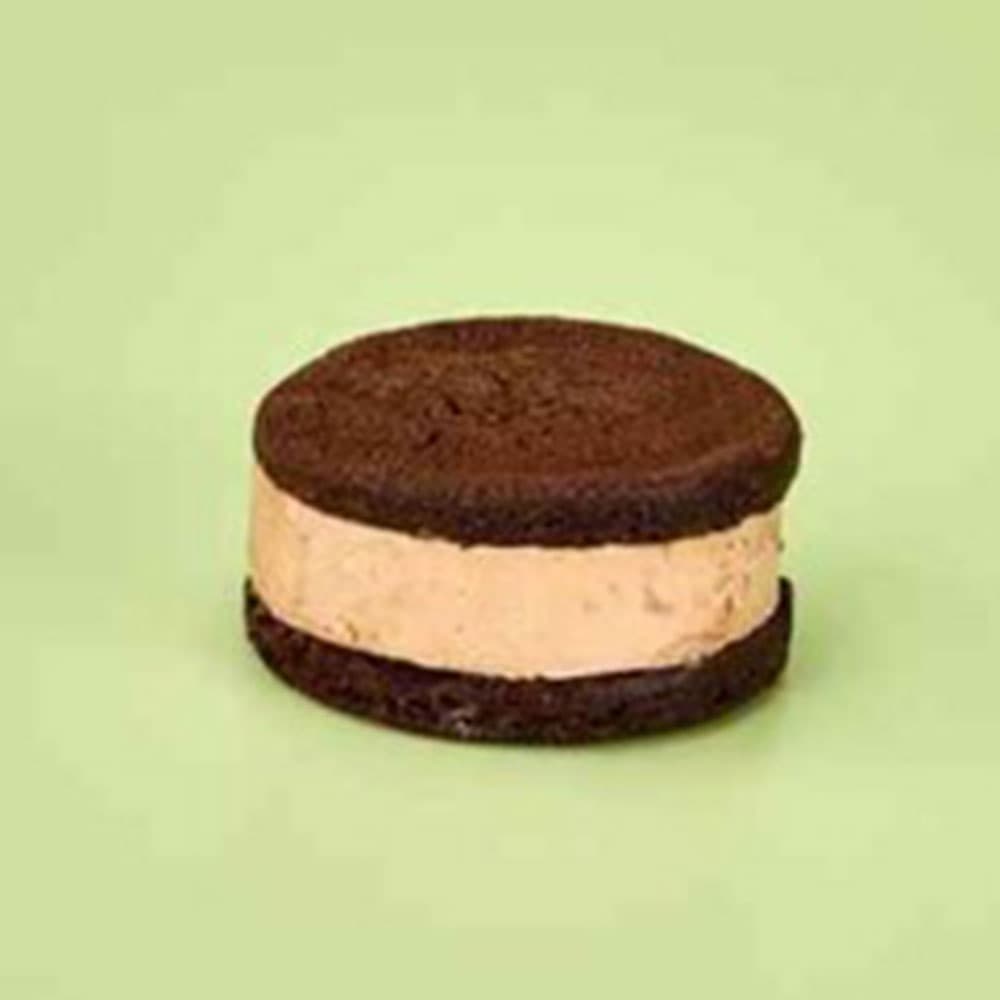 Double Chocolate Ice Cream Sandwich