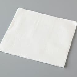 Napkin (Each)