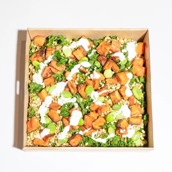 Spiced Sweet Potato Salad Platter (Large)