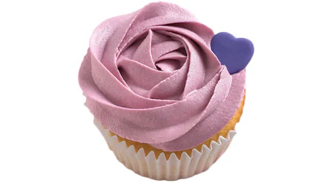 Blueberry Classic Cupcake
