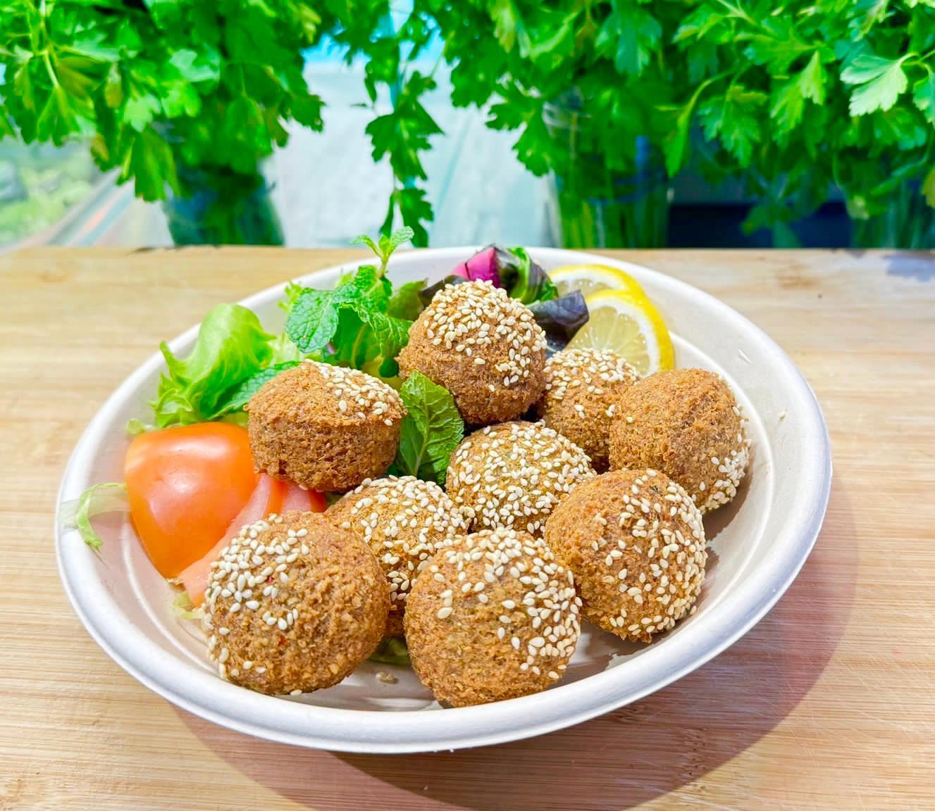 Falafel platter (small)