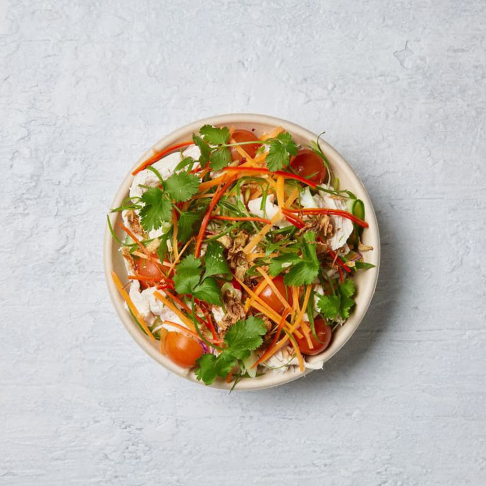 Vietnamese Chicken