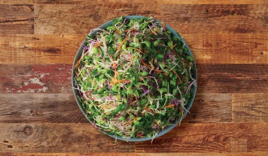 Japanese Coleslaw, Regular Platter