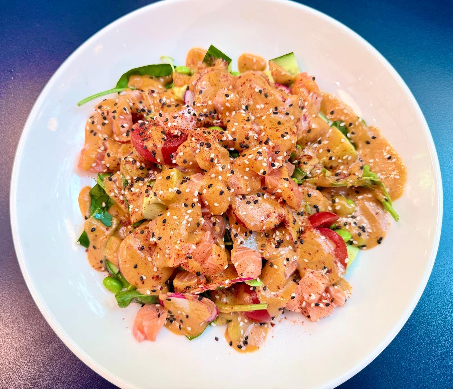 Salmon Sashimi Poke Bowl (Single)