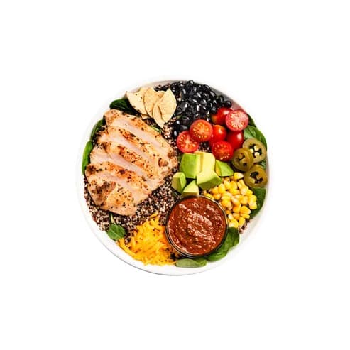 Chihuahua Healthy Warm Bowl