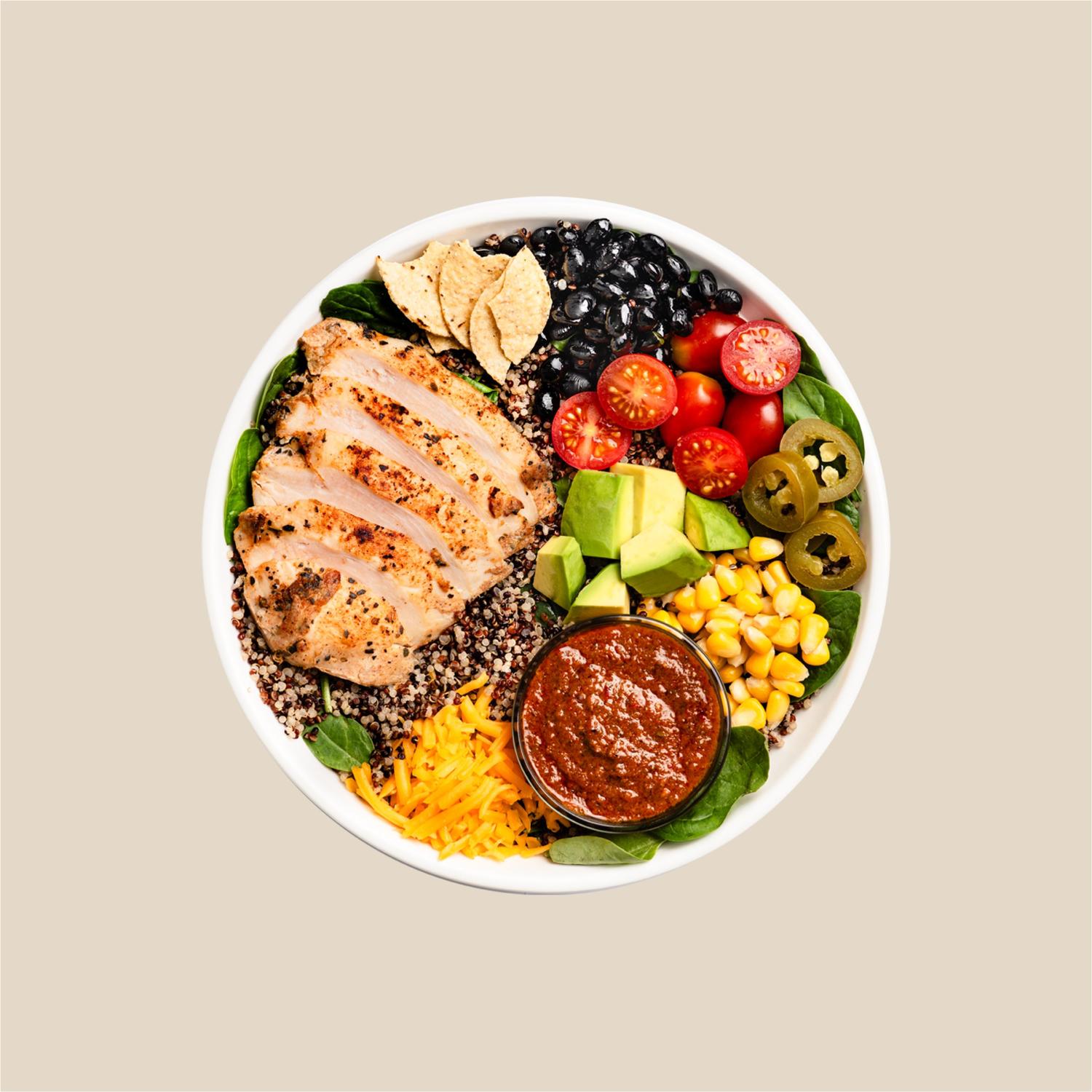 Chihuahua Warm Protein Bowl