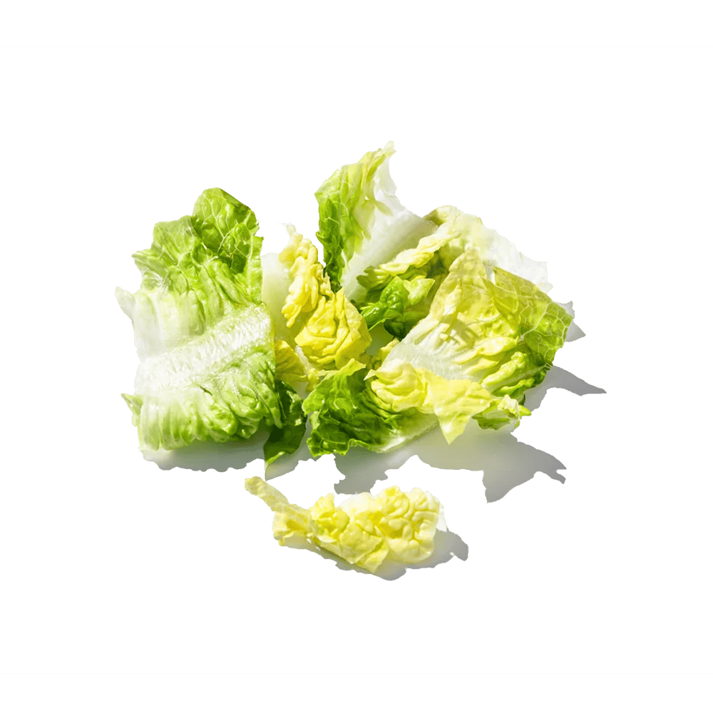 Romaine Lettuce per pax