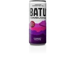 Batu Kombucha Forest fruit 25 cl per blik