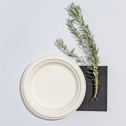 Bio Pac Plate / Napkin