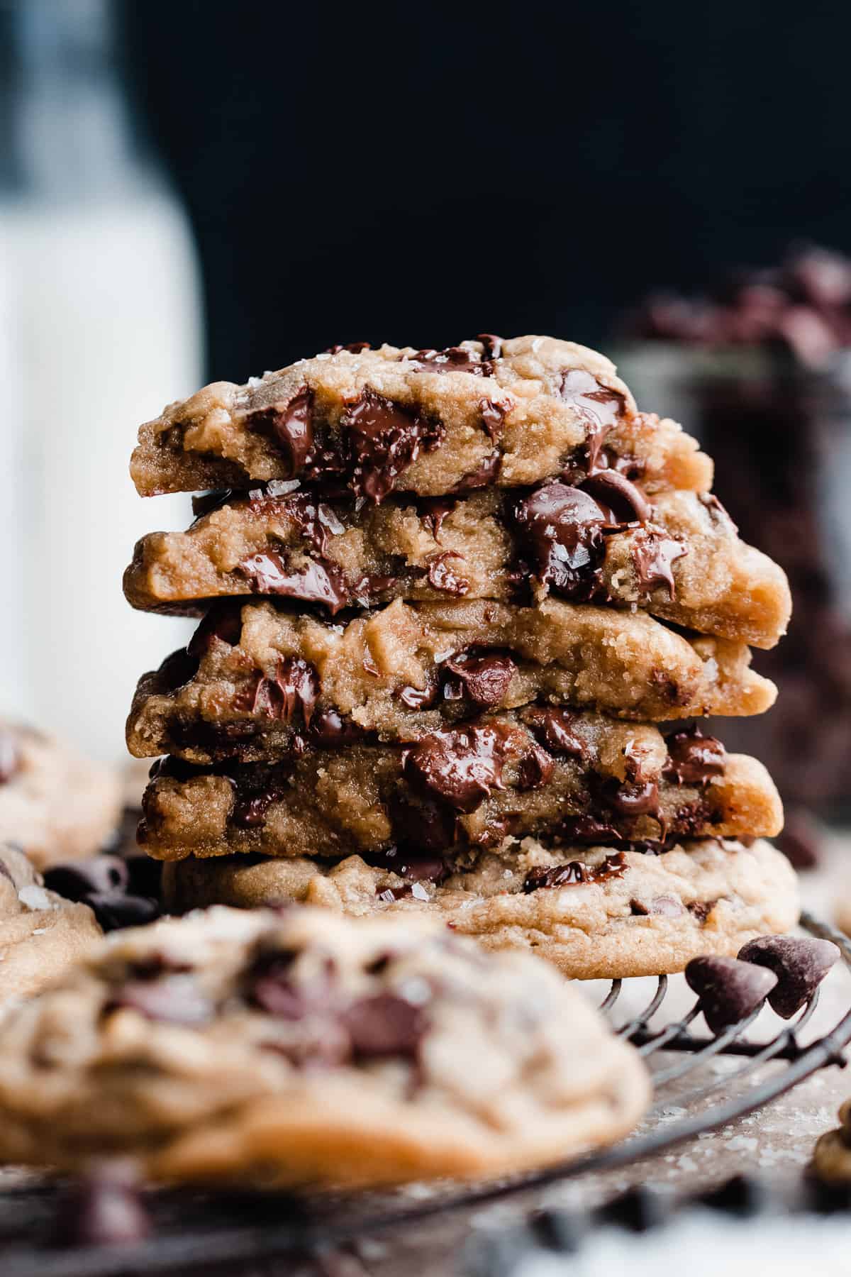 Homemade Chocolate Chip Cookie