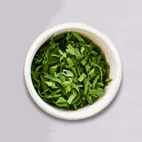 Coriander