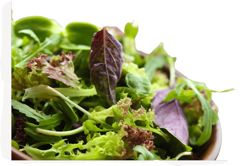 Green Salad Platter