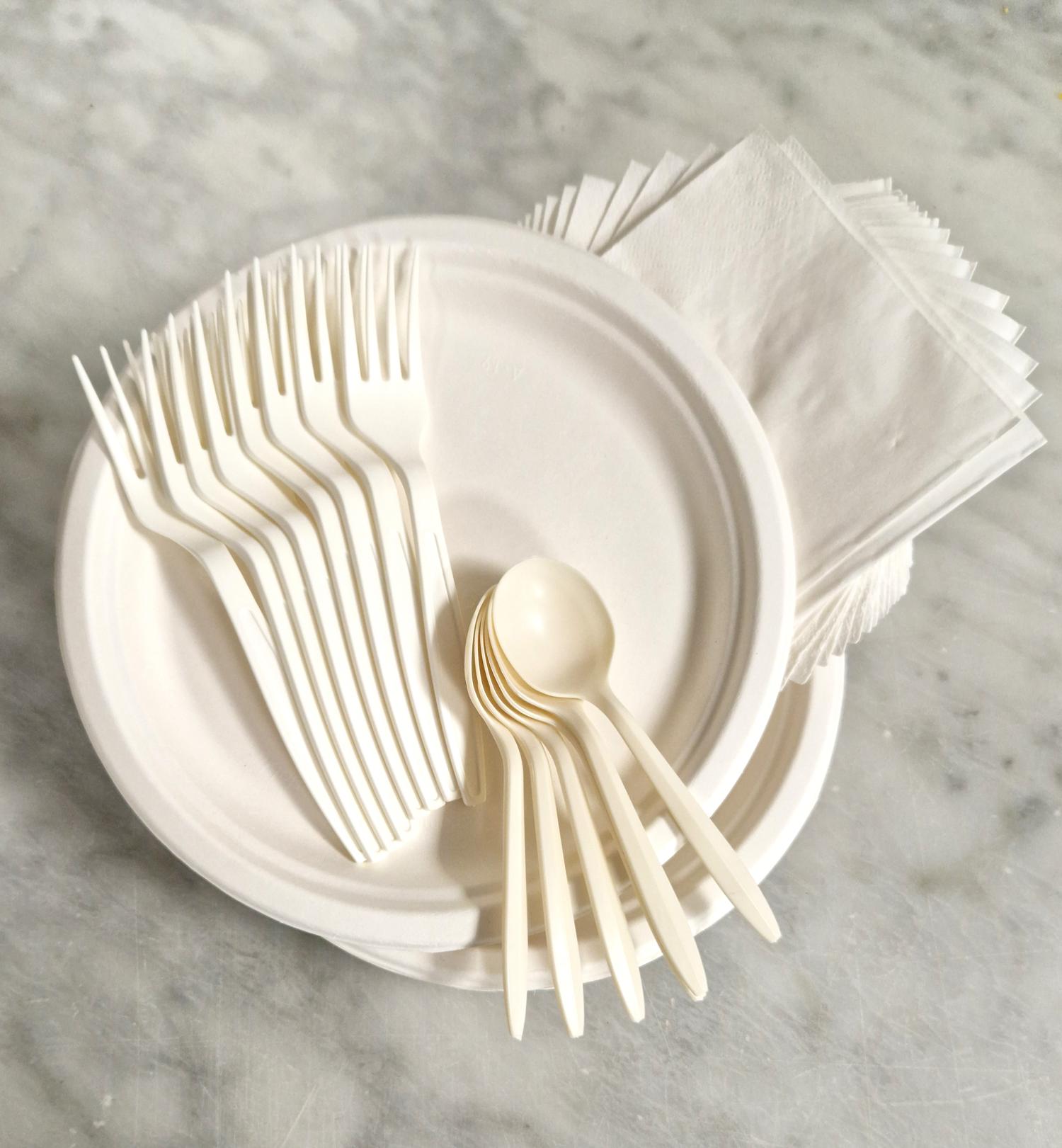 Sustainable + recyclable cutlery / plates