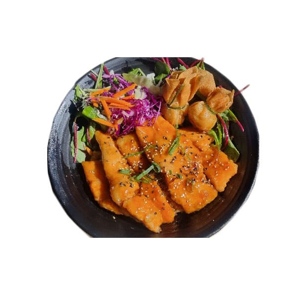 Teriyaki Salmon Rice Bowl Meal Set