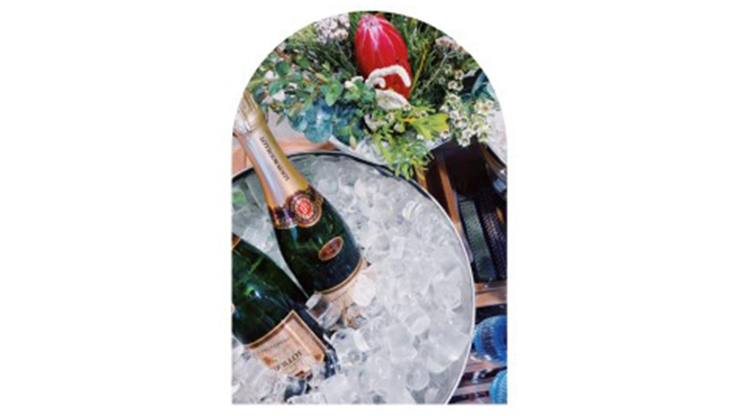 Wine Package: Premium (No Glassware Required)