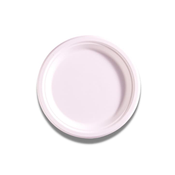 Disposable Plate