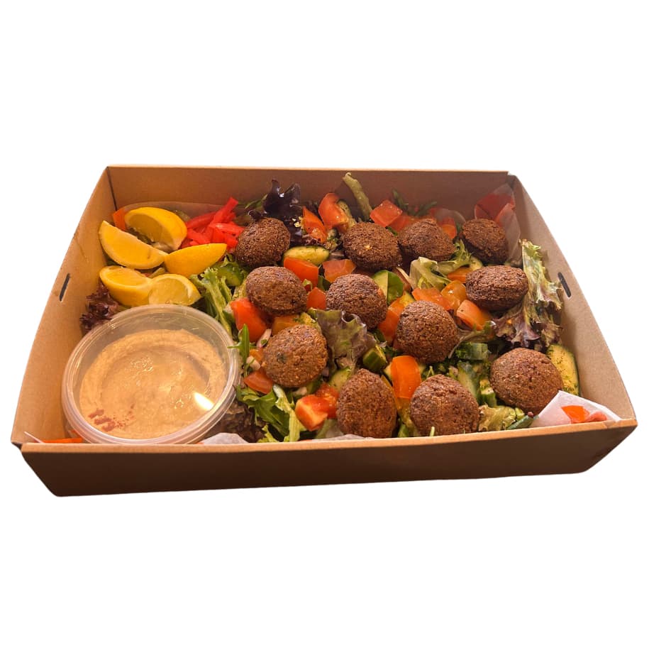 Falafel Salad Platter