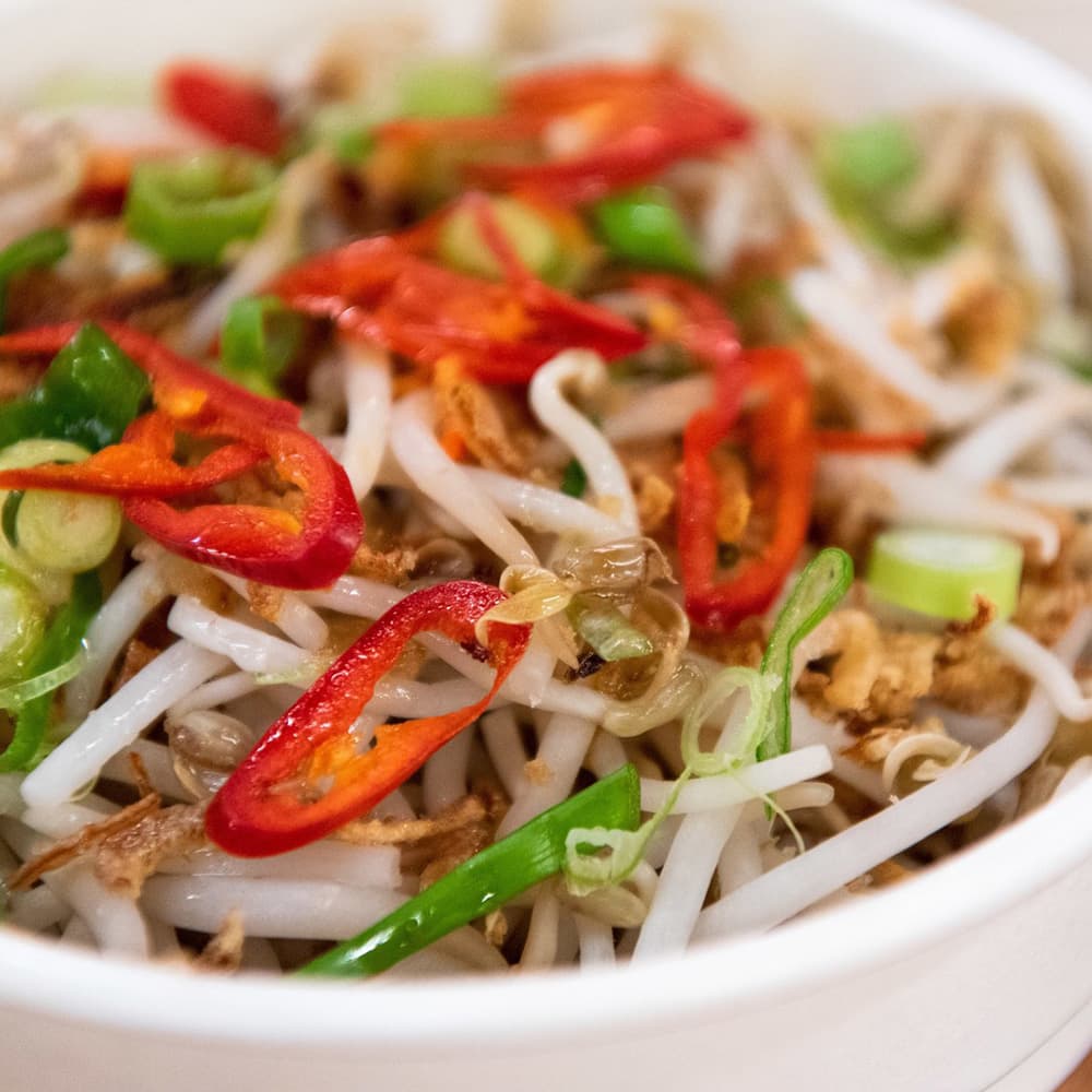 Bean Sprout