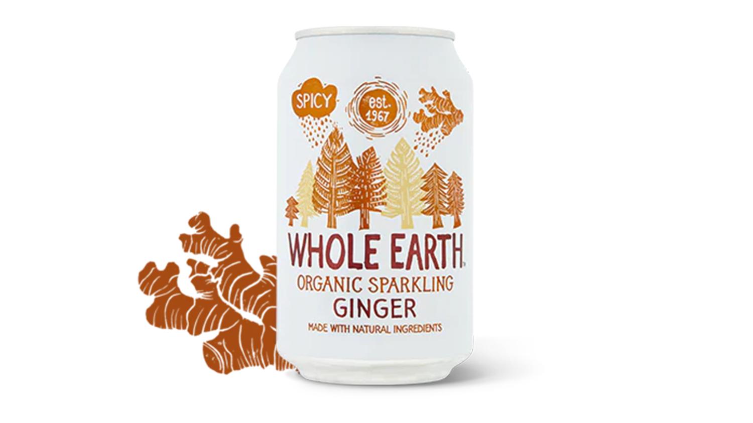 Organic Sparkling Ginger Drink