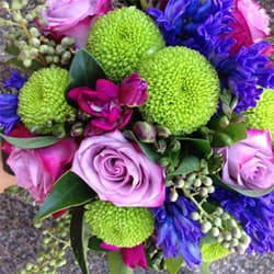 69597 Bright Posy