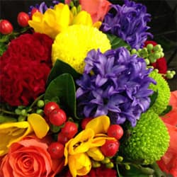 69599 Bright Textured Posy