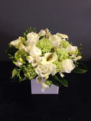 69605 Elegant White Posy