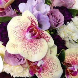 69610 Spotted Orchid Posy