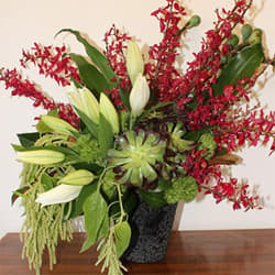 69611 Textured Tropical Arrangement