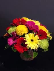69628 Gerbera Box