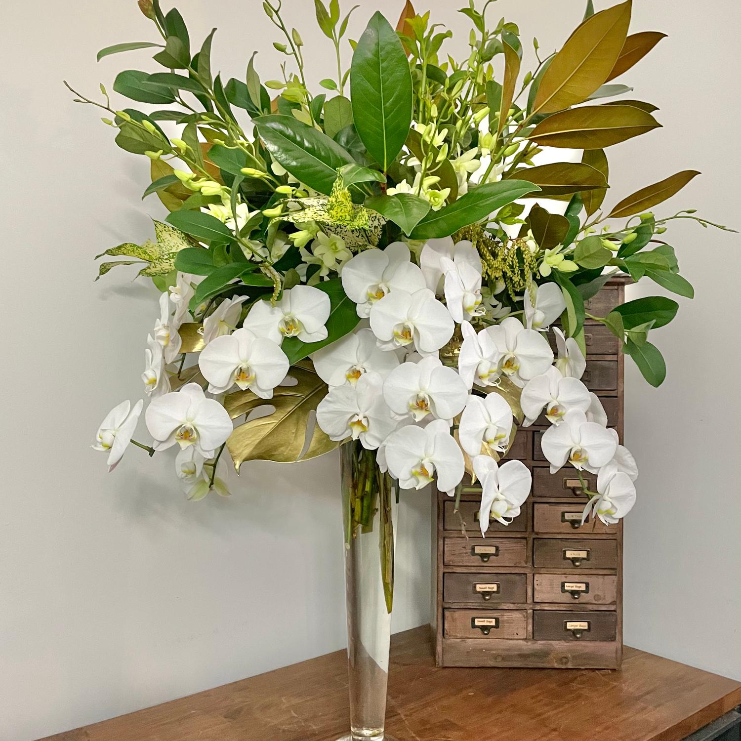Orchid Luxuy