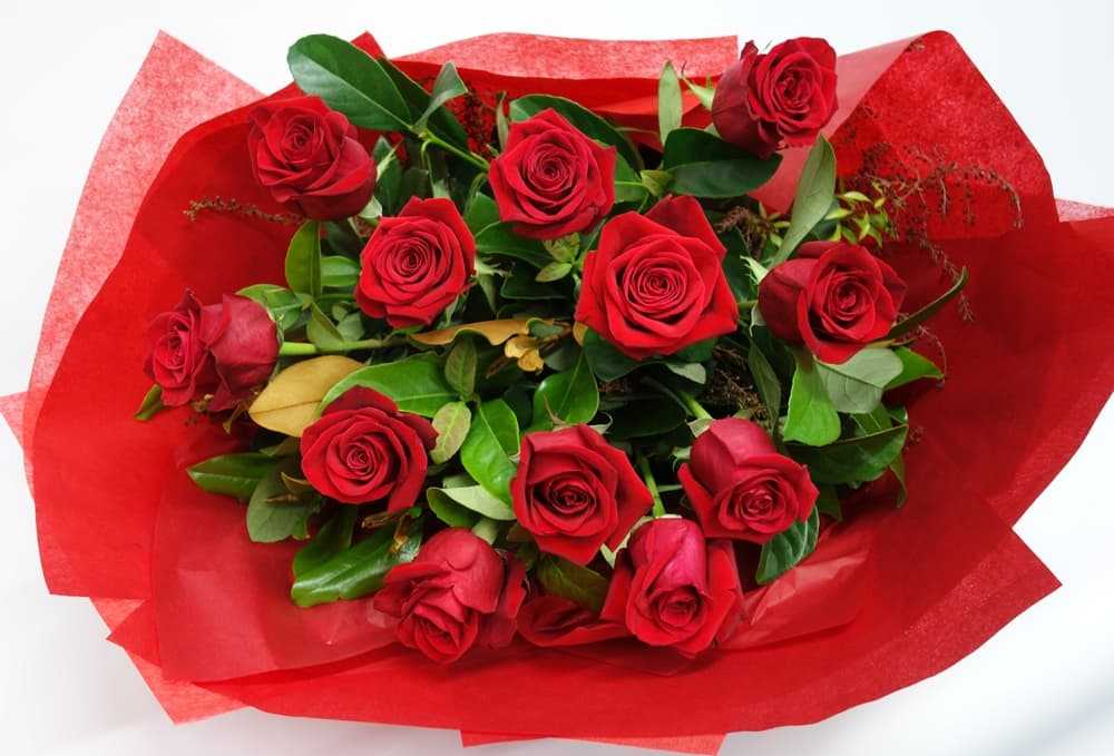 1 Dozen Red Roses - Gift Wrapped