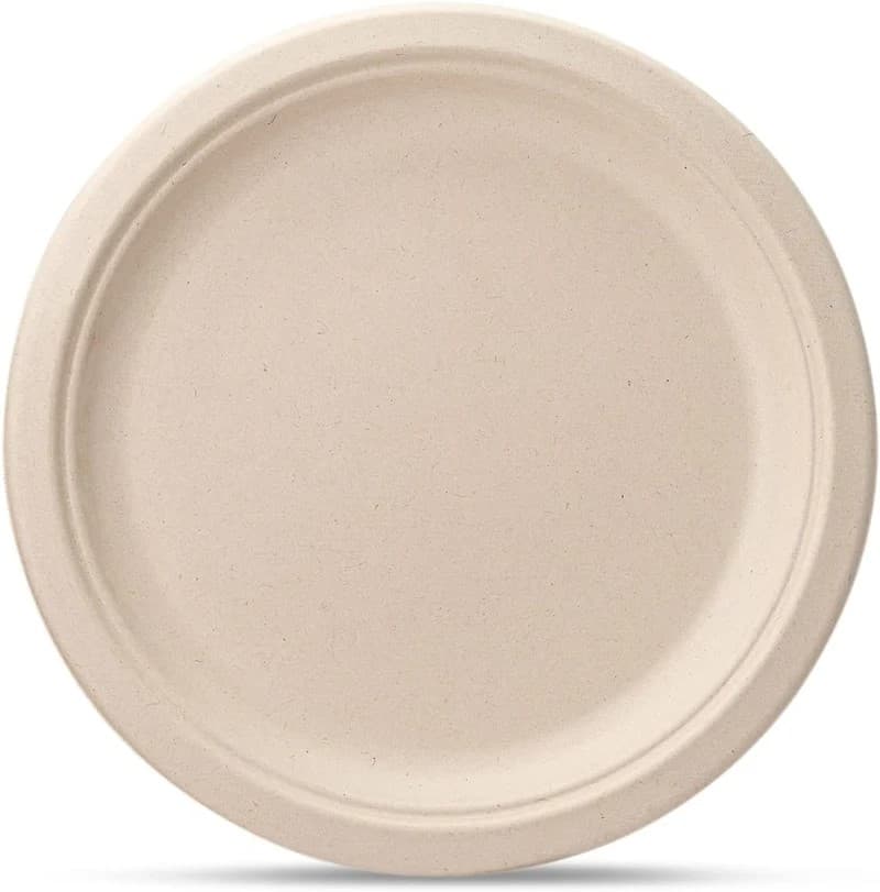 Disposable Plate