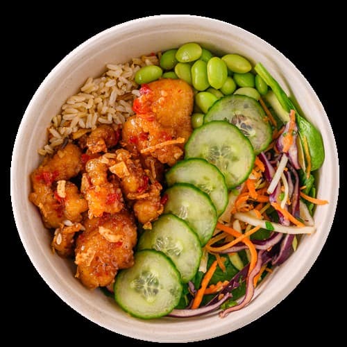 Crispy Chicken Salad 