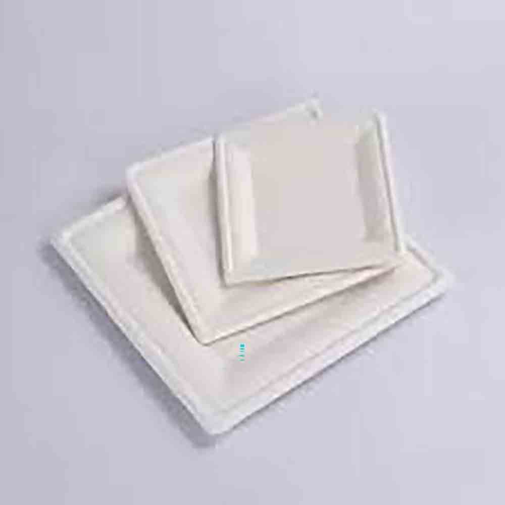 Disposable Biodegradable Dinner Plate