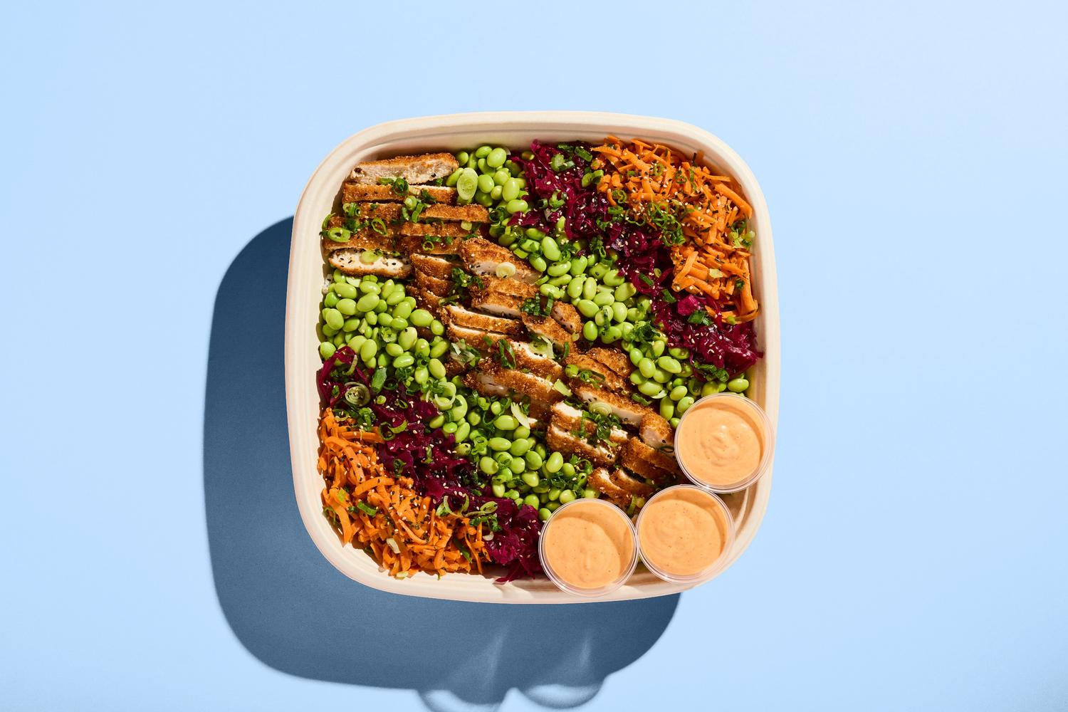 Crispy Chicken Katsu Platter