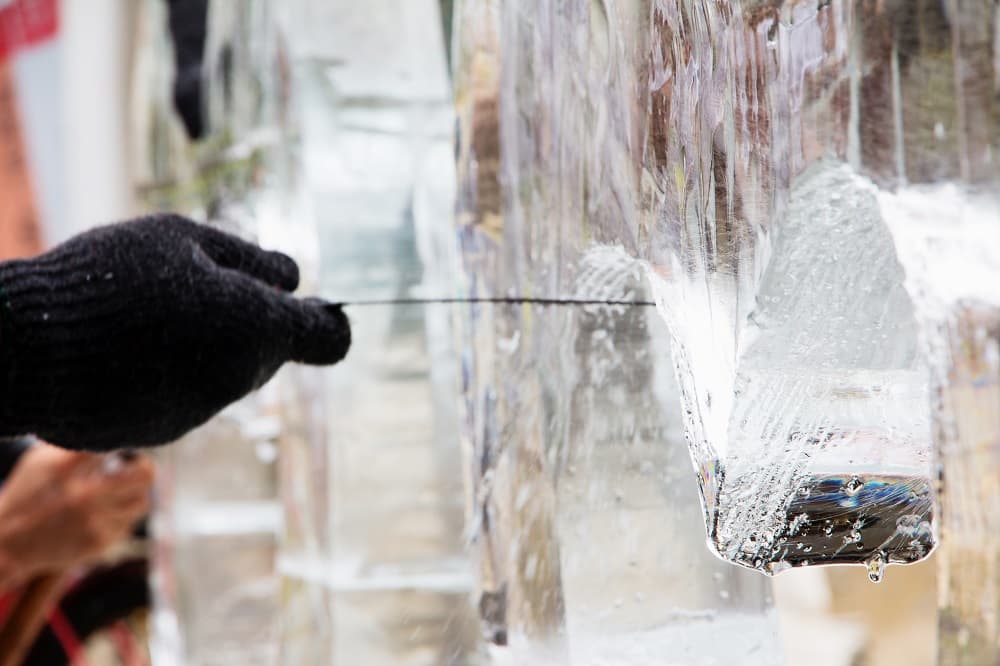 Ice Sculptures & Luges