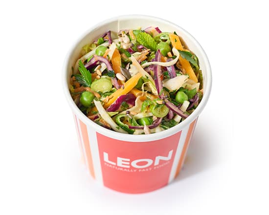LEON Slaw (Large)