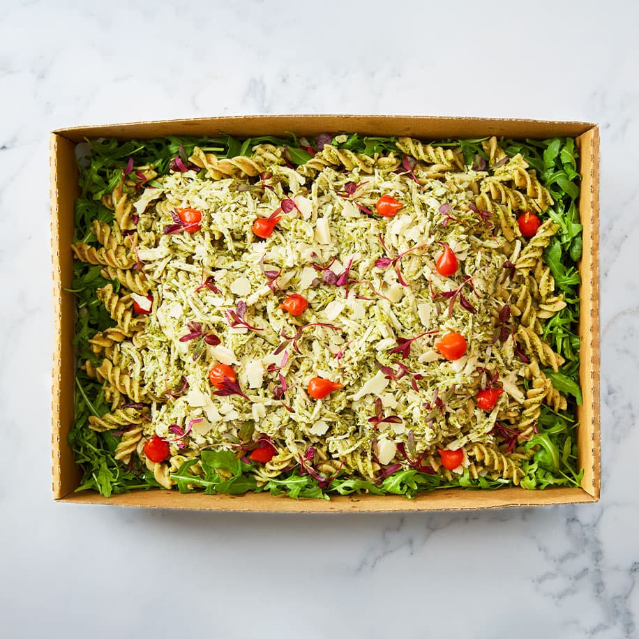 PLATTER - Pesto Pollo Pasta 
