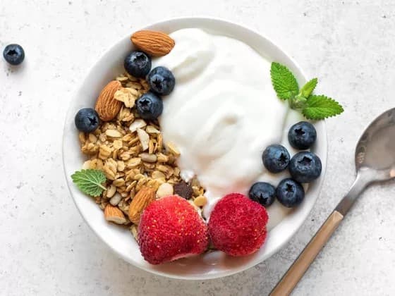 Greek Yogurt
